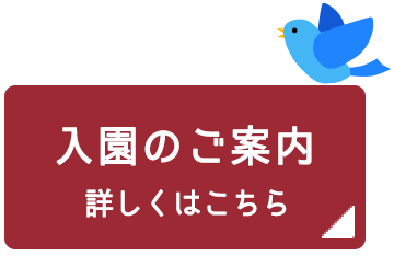 入園のご案内