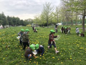 IMG_7220